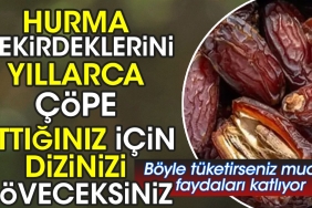 hurma-cekirdeklerini-yillarca-cope-attiginiz-icin-dizinizi-doveceksiniz-bu-turlu-tuketirseniz-mucize-yararlari-katliyor-3u5Abzdi.jpg