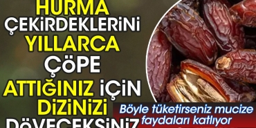 hurma-cekirdeklerini-yillarca-cope-attiginiz-icin-dizinizi-doveceksiniz-bu-turlu-tuketirseniz-mucize-yararlari-katliyor-3u5Abzdi.jpg