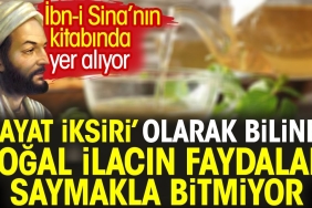 ibn-i-sinanin-kitabinda-yer-aliyor-hayat-iksiri-olarak-bilinen-dogal-ilacin-yararlari-saymakla-bitmiyor-Bgq3SEVH.jpg