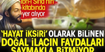 ibn-i-sinanin-kitabinda-yer-aliyor-hayat-iksiri-olarak-bilinen-dogal-ilacin-yararlari-saymakla-bitmiyor-Bgq3SEVH.jpg