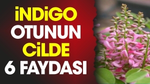 indigo-otunun-cilde-6-yarari-HeOSi4qb.jpg