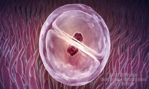 infertilite-nedir-m9ZhZhHS.jpg