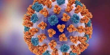 influenza-gribi-nedir-son-periyotta-artis-gostermisti-influenza-a-virusu-belirtileri-neler-7C3eN3Ae.jpg