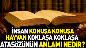 insan-konusa-konusa-hayvan-koklasa-koklasa-atasozunun-manasi-nedir-NteH82fg.jpg