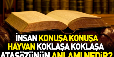 insan-konusa-konusa-hayvan-koklasa-koklasa-atasozunun-manasi-nedir-NteH82fg.jpg