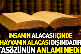 insanin-alacasi-icinde-hayvanin-alacasi-disindadir-atasozunun-manasi-nedir-pRaYBScc.jpg