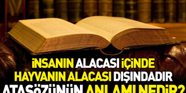 insanin-alacasi-icinde-hayvanin-alacasi-disindadir-atasozunun-manasi-nedir-pRaYBScc.jpg