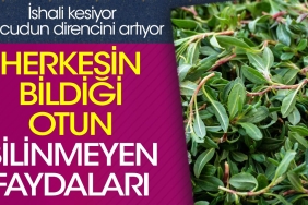 ishali-kesiyor-bedenin-direncini-artiyor-herkesin-bildigi-otun-bilinmeyen-yararlari-aCKTOKiT.jpg