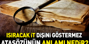 isiracak-it-disini-gostermez-atasozunun-manasi-nedir-aE9gW8zD.jpg