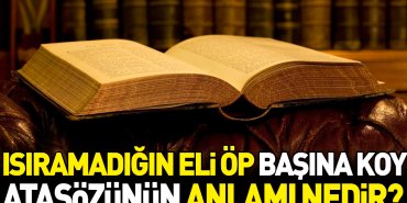 isiramadigin-eli-op-basina-koy-atasozunun-manasi-nedir-WTnrXXFZ.jpg