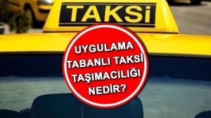 istanbul-taksi-duzenlemesi-son-dakika-uygulama-tabanli-taksi-nakliyeciligi-sistemi-nedir-yeni-taksi-PPYKCLPM.jpg