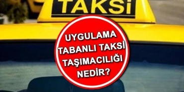 istanbul-taksi-duzenlemesi-son-dakika-uygulama-tabanli-taksi-nakliyeciligi-sistemi-nedir-yeni-taksi-PPYKCLPM.jpg