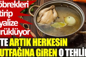 iste-artik-herkesin-mutfagina-giren-o-tehlike-bobrekleri-bitirip-diyalize-surukluyor-lWyxQjBT.jpg