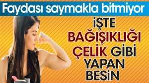 iste-bagisikligi-celik-uzere-yapan-besin-yarari-saymakla-bitmiyor-lungwfMh.jpg