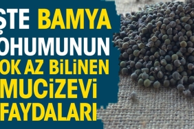 iste-bamya-tohumunun-cok-az-bilinen-mucizevi-yararlari-XqdRJqMr.jpg