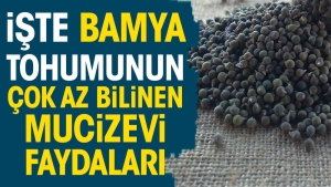 iste-bamya-tohumunun-cok-az-bilinen-mucizevi-yararlari-XqdRJqMr.jpg