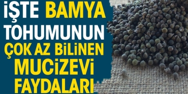 iste-bamya-tohumunun-cok-az-bilinen-mucizevi-yararlari-XqdRJqMr.jpg