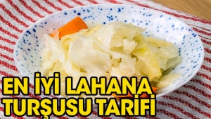 iste-en-faydali-lahana-tursusu-tanimi-dq16ZFHN.jpg