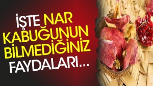 iste-nar-kabugunun-bilmediginiz-yararlari-qs7CEBkp.jpg