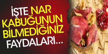 iste-nar-kabugunun-bilmediginiz-yararlari-qs7CEBkp.jpg