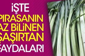 iste-pirasanin-az-bilinen-sasirtan-yararlari-hGgNWV6q.jpg