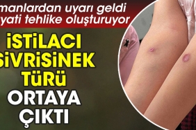 istilaci-sivrisinek-tipi-ortaya-cikti-uzmanlardan-ikaz-geldi-hayati-tehlike-olusturuyor-MhqlRwB7.jpg