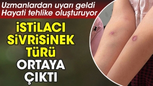 istilaci-sivrisinek-tipi-ortaya-cikti-uzmanlardan-ikaz-geldi-hayati-tehlike-olusturuyor-MhqlRwB7.jpg