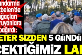 jandarma-akbelende-agaclari-koruyanlara-bagirdi-k-fi-sizden-5-gundur-cektigimiz-lan-tblydPyK.jpg