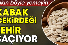 kabak-cekirdegi-zehir-saciyor-sakin-bu-turlu-yemeyin-9kTXuZrZ.jpg