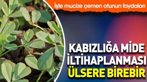 kabizlik-mide-iltihaplanmasi-ulsere-birebir-iste-mucize-cemen-otunun-yararlari-3QWmXVQR.jpg