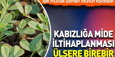 kabizlik-mide-iltihaplanmasi-ulsere-birebir-iste-mucize-cemen-otunun-yararlari-3QWmXVQR.jpg