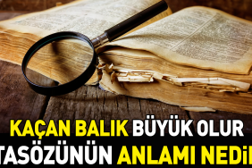 kacan-balik-buyuk-olur-atasozunun-manasi-nedir-65OWU2wR.jpg