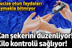kan-sekerini-duzenliyor-kilo-denetimi-sagliyor-mucize-otun-yararlari-saymakla-bitmiyor-pg7vYrhS.jpg