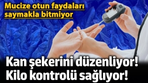 kan-sekerini-duzenliyor-kilo-denetimi-sagliyor-mucize-otun-yararlari-saymakla-bitmiyor-pg7vYrhS.jpg