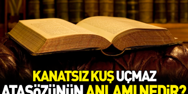 kanatsiz-kus-ucmaz-atasozunun-manasi-nedir-qXKScsDV.jpg