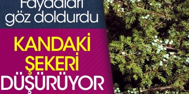 kandaki-sekeri-dusuren-otun-goz-dolduran-yararlari-ortaya-cikti-a1O24Jjp.jpg