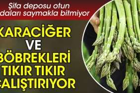 karaciger-ve-bobrekleri-tikir-tikir-calistiriyor-sifa-deposu-otun-yararlari-saymakla-bitmiyor-T9dKGynS.jpg