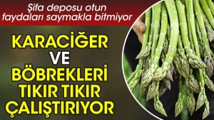 karaciger-ve-bobrekleri-tikir-tikir-calistiriyor-sifa-deposu-otun-yararlari-saymakla-bitmiyor-T9dKGynS.jpg