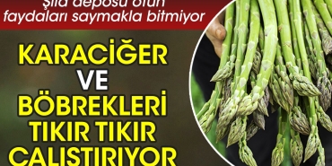 karaciger-ve-bobrekleri-tikir-tikir-calistiriyor-sifa-deposu-otun-yararlari-saymakla-bitmiyor-T9dKGynS.jpg