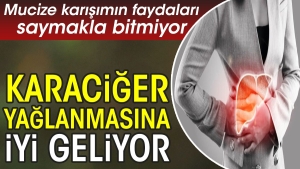 karaciger-yaglanmasina-l-geliyor-mucize-karisimin-yararlari-saymakla-bitmiyor-yrZsPLml.jpg
