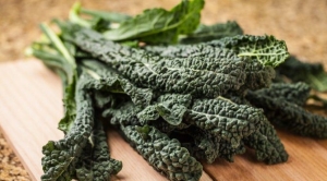 karalahananin-icinde-hangi-vitaminler-var-karalahananin-faydalari-U9Aei5Pa.jpg