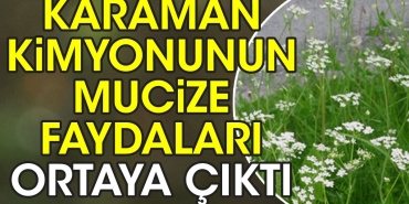 karaman-kimyonunun-mucize-yararlari-ortaya-cikti-EViunLWQ.jpg