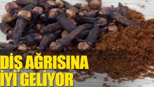 karanfil-dis-agrisina-nasil-l-gelir-YBsJzHy7.jpg