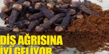 karanfil-dis-agrisina-nasil-l-gelir-YBsJzHy7.jpg