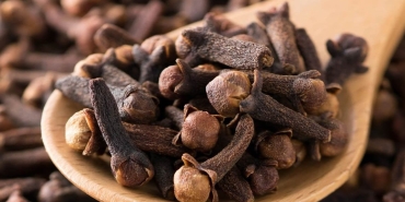 karanfilin-saca-yararlari-nelerdir-karanfil-kuru-nasil-hazirlanir-2TP5jwmB.jpg