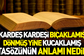 kardes-kardesi-bicaklamis-sonra-donmus-tekrar-kucaklamis-atasozunun-manasi-nedir-5tdE8ZeR.jpg