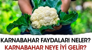 karnabahar-yararlari-neler-karnabahar-neye-yeterli-gelir-22DUMmK3.jpg