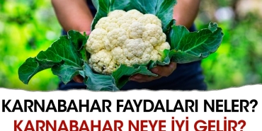 karnabahar-yararlari-neler-karnabahar-neye-yeterli-gelir-22DUMmK3.jpg