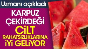 karpuz-cekirdegi-cilt-rahatsizliklarina-l-geliyor-uzmani-acikladi-FW1b41LT.jpg
