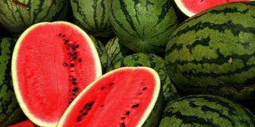 karpuzun-sihhate-10-yarari-csDxzuqY.jpg